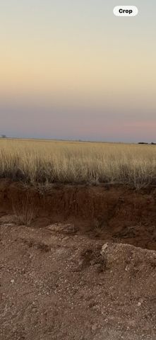 Fm 1317, Tahoka, TX 79373