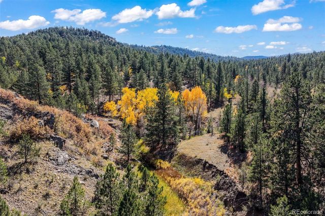 838 County Road 260, Westcliffe, CO 81252