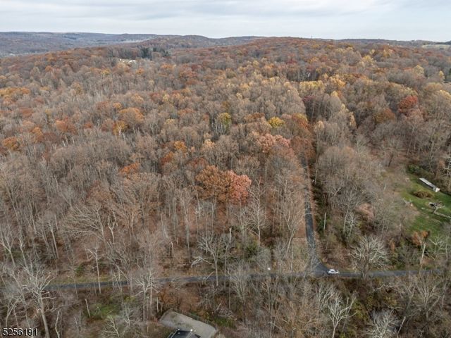 4 Country Ln, Lebanon Twp., NJ 08826