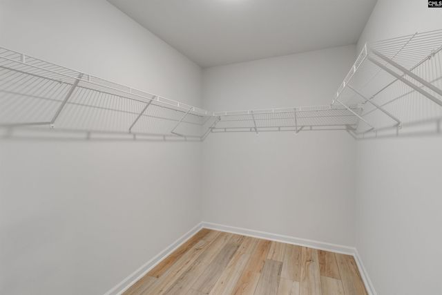 3663 Stedding Place, Lexington, SC 29073