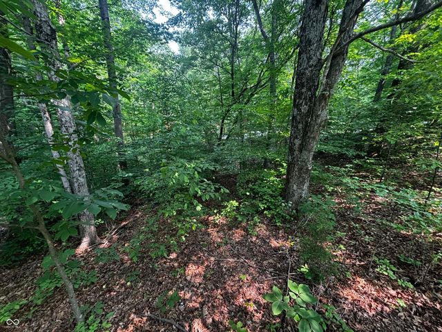 8612 Center Lake Road, Nineveh, IN 46164