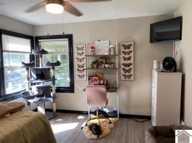 5492 State Route 339 South, Mayfield, KY 42066