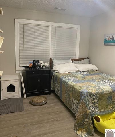 5492 State Route 339 South, Mayfield, KY 42066