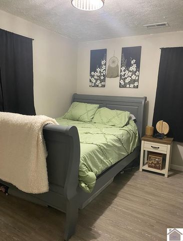 5492 State Route 339 South, Mayfield, KY 42066