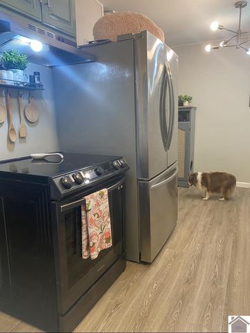 5492 State Route 339 South, Mayfield, KY 42066