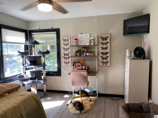 5492 State Route 339 South, Mayfield, KY 42066