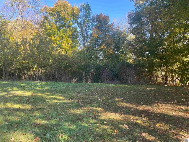 5492 State Route 339 South, Mayfield, KY 42066