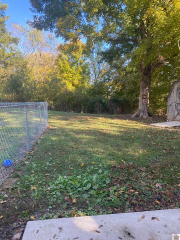 5492 State Route 339 South, Mayfield, KY 42066