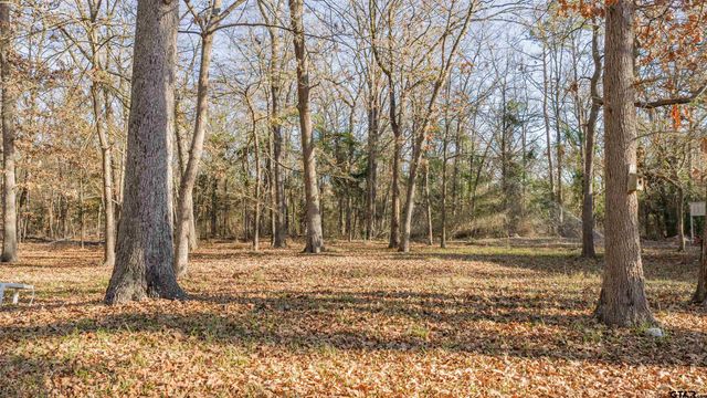 3199 FM 2723, Mt Vernon, TX 75457