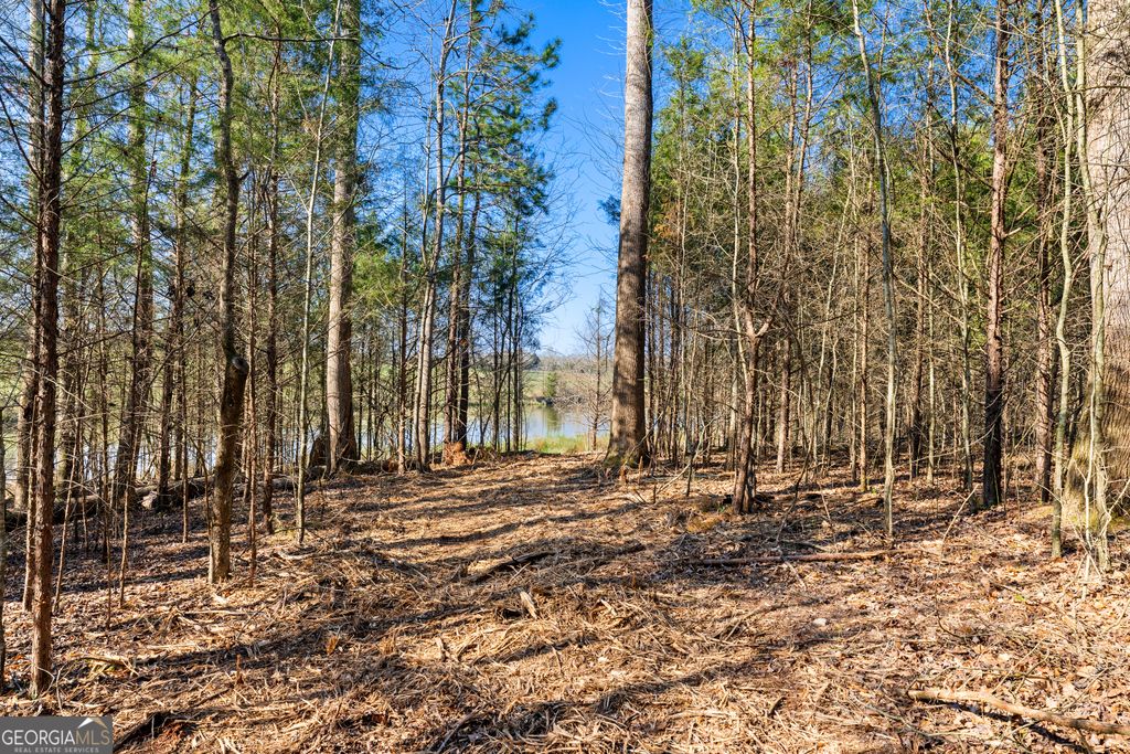 8 Ridgeview Point, Hartwell, GA 30643 — photo 3
