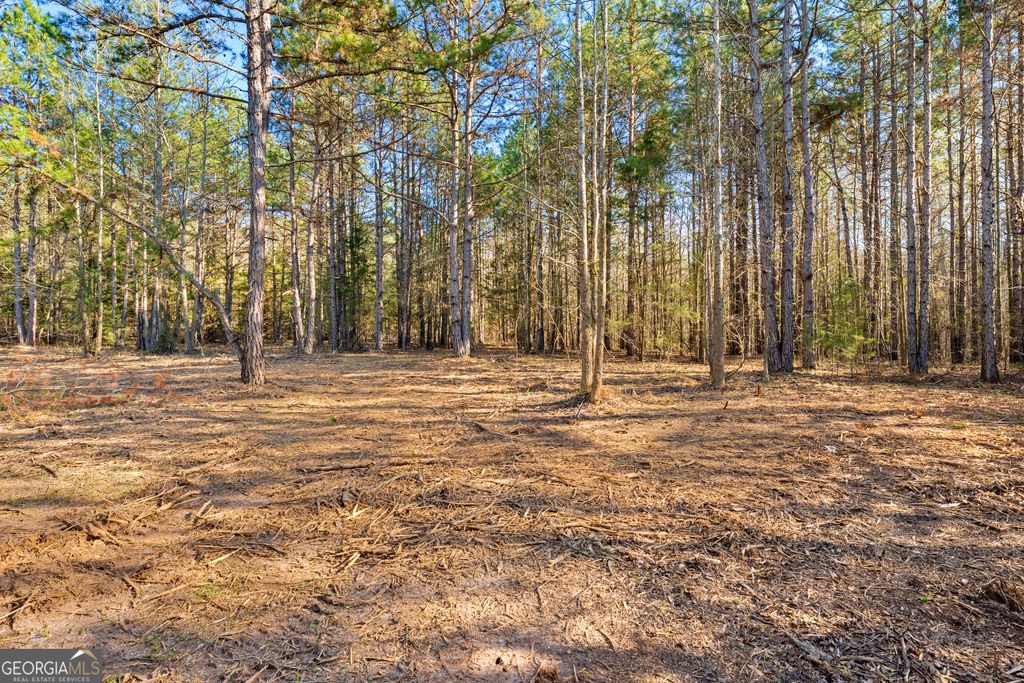 8 Ridgeview Point, Hartwell, GA 30643 — photo 4