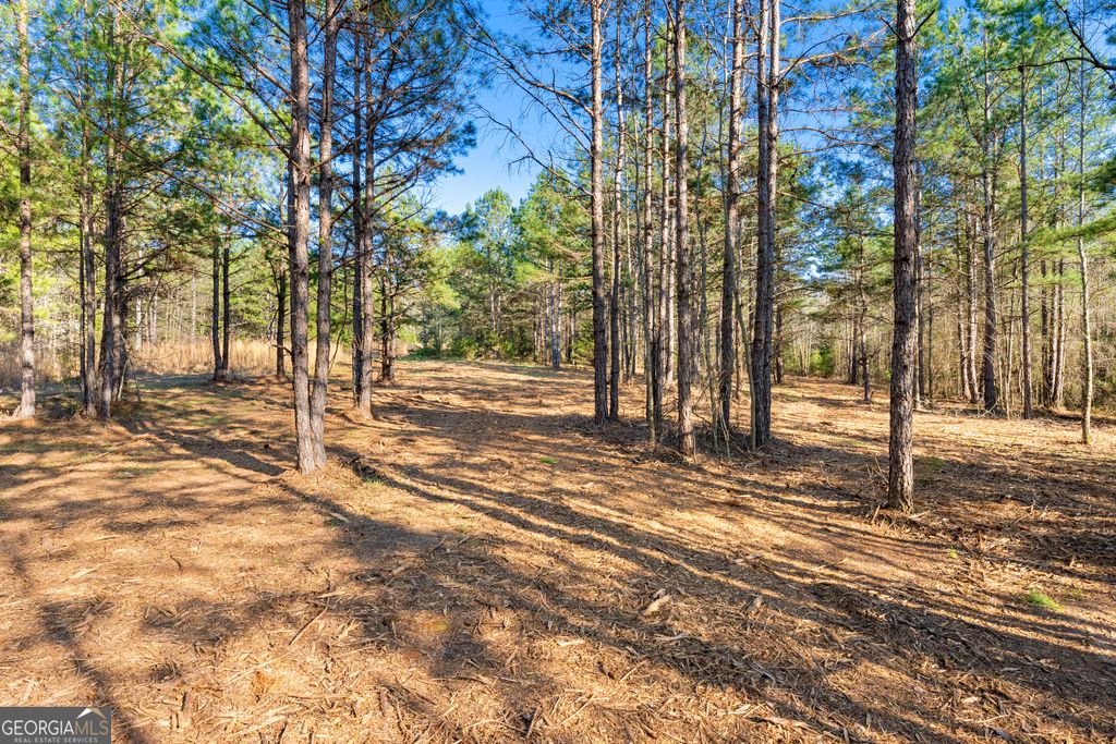 8 Ridgeview Point, Hartwell, GA 30643 — photo 5