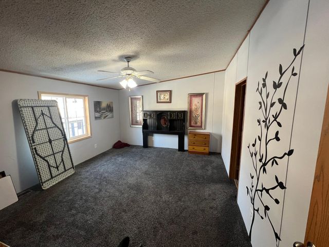 121 3rd Street, Bluffton, MN 56518