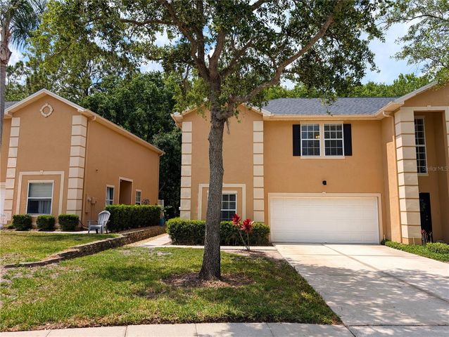6212 ASHBURY PALMS DRIVE, Tampa, FL 33647