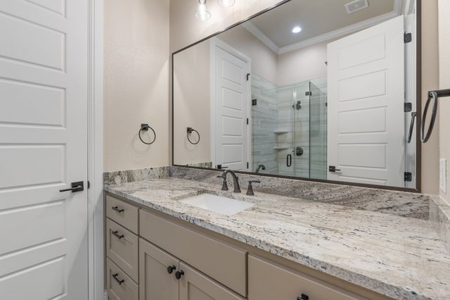 2407 Vineyard Drive, Granbury, TX 76048