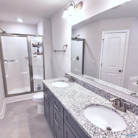 14303 Lavender Court, Harvest, AL 35749