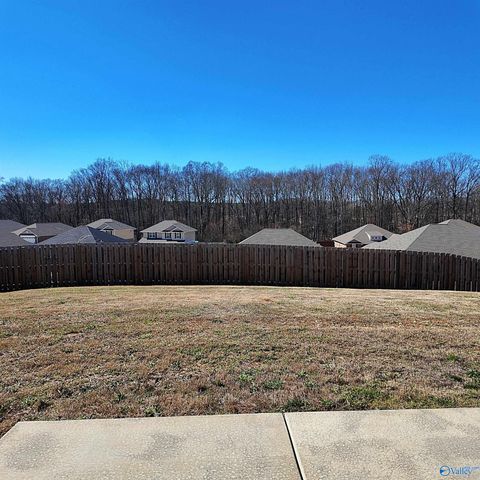 14303 Lavender Court, Harvest, AL 35749