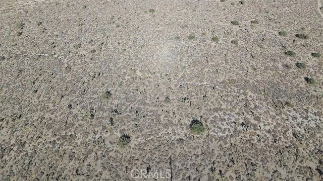 1111 Wintergreen Road, Pinon Hills, CA 92372