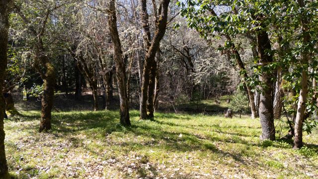 24524 Redwood Highway, Kerby, OR 97531