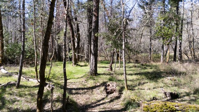 24524 Redwood Highway, Kerby, OR 97531