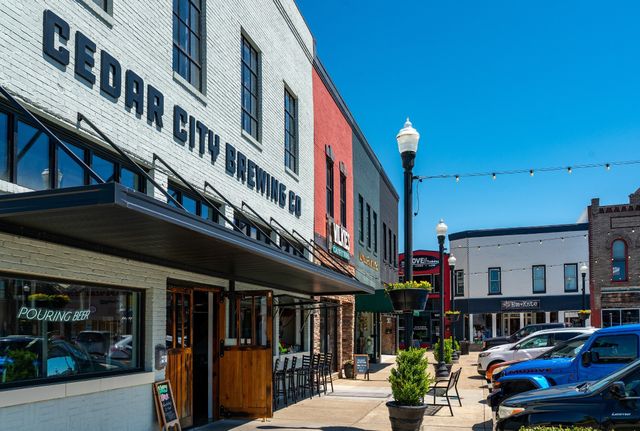 405 Curtis Hilton Way, Lebanon, TN 37087