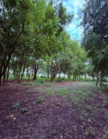 TBD 2 AC Epps, Palmer, TX 75152
