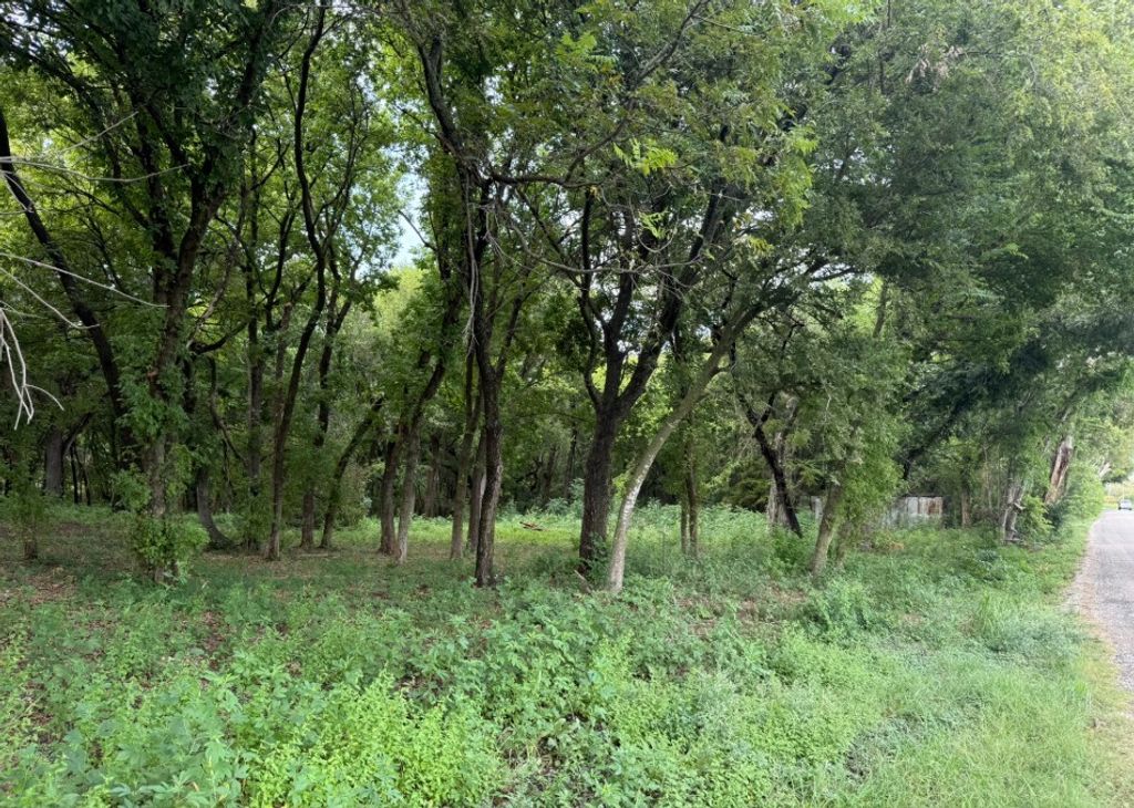 TBD 2 AC Epps, Palmer, TX 75152