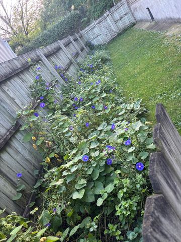 2846 N Troy Street 2, Chicago, IL 60618