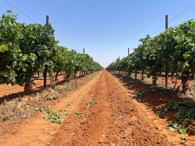 1 US-380, Brownfield, TX 79316