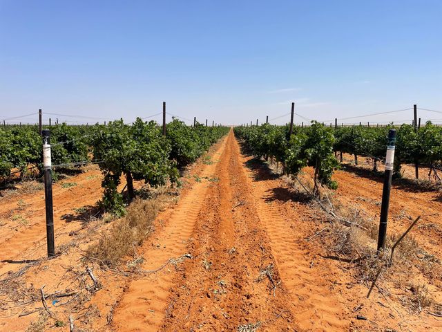 1 US-380, Brownfield, TX 79316