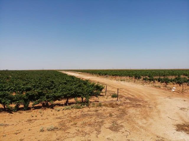 1 US-380, Brownfield, TX 79316