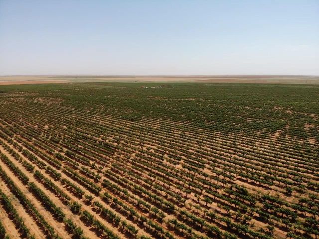 1 US-380, Brownfield, TX 79316