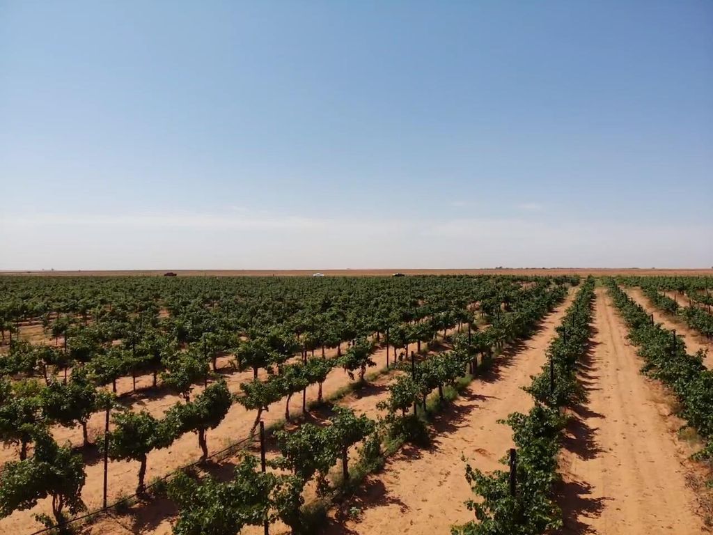 1 US-380, Brownfield, TX 79316