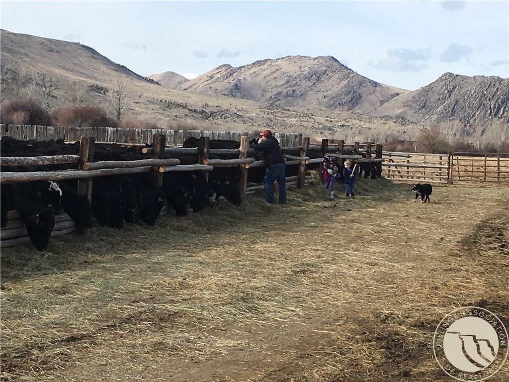 263 W Bovine Way, Other, MT 59743 photo 12