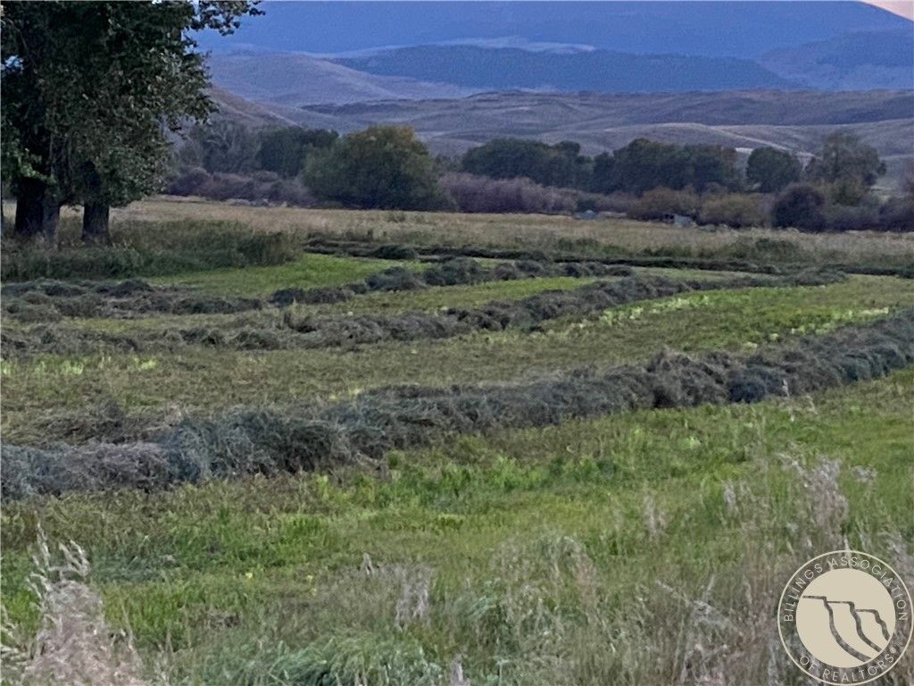 263 W Bovine Way, Other, MT 59743 photo 4