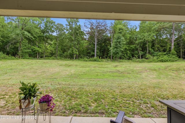205 Clover Cove, Coldwater, MS 38618