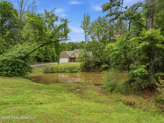 205 Clover Cove, Coldwater, MS 38618