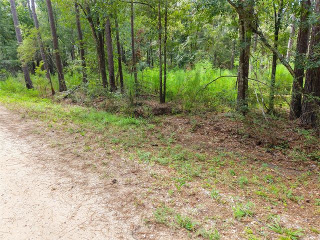 0 Largent Drive, Plantersville, TX 77363