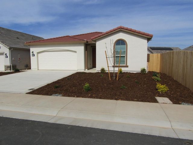 717 Thimbleberry Dr, Ione, CA 95640