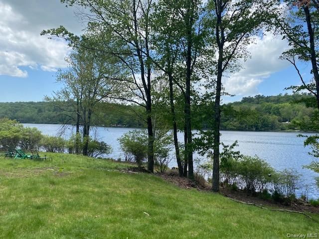 739 Lake View Drive Main Level, Smallwood, NY 12778
