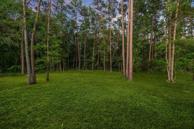 19991 Northfork Drive, Porter, TX 77365