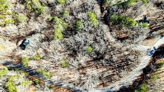 0 Newport Drive, Ellijay, GA 30540