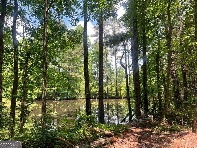 491 Thurman Road TRACT C, Stockbridge, GA 30281