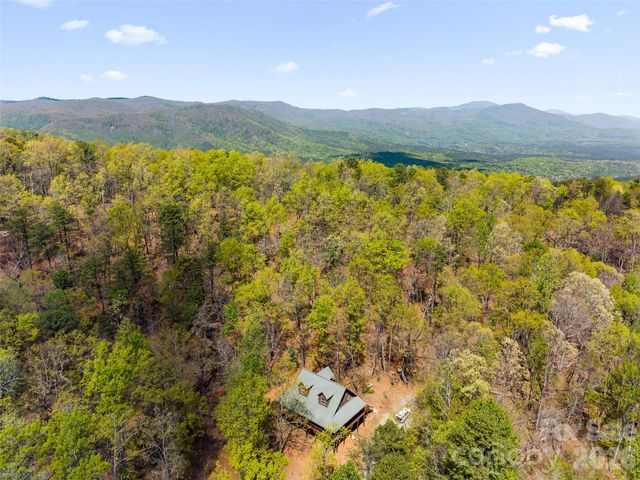 462 Deep Woods Lane, Saluda, NC 28773