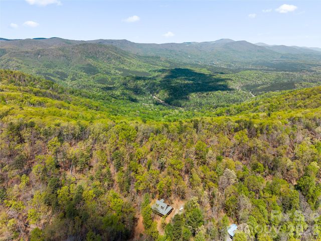 462 Deep Woods Lane, Saluda, NC 28773