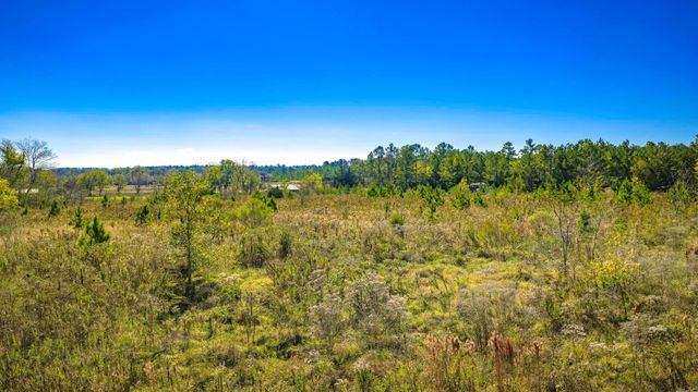 331 Longhorn Drive N, Livingston, TX 77351