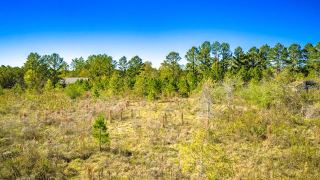 331 Longhorn Drive N, Livingston, TX 77351