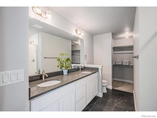 6019 Denys Drive, Timnath, CO 80547