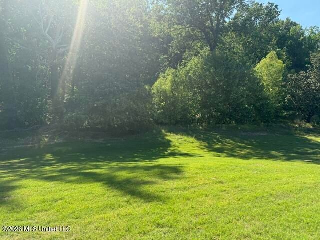 8823 Jackson Lane, Olive Branch, MS 38654