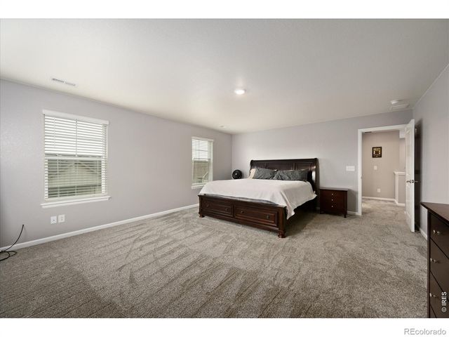 1937 Raindrop Drive, Windsor, CO 80550